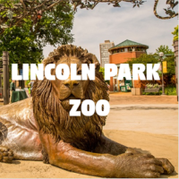 lincoln park zoo