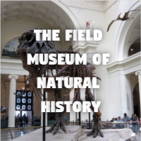 the field museum of natural history